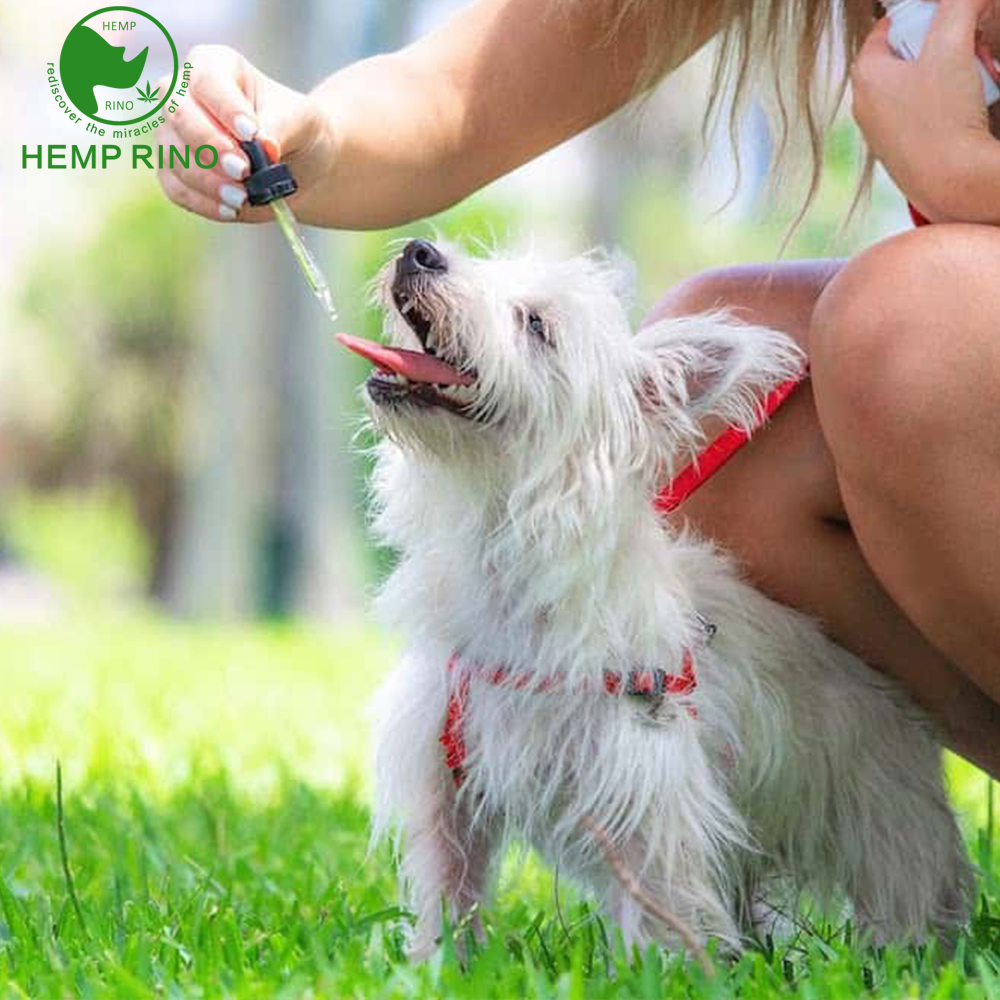 Hemp CBD oil tincture for pets with vitamins pain relief private label