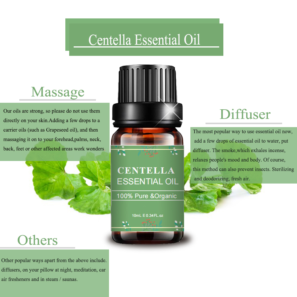 뜨거운 판매 마사지 용 Centella Essential Extract 오일