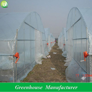 tunnels greenhouse