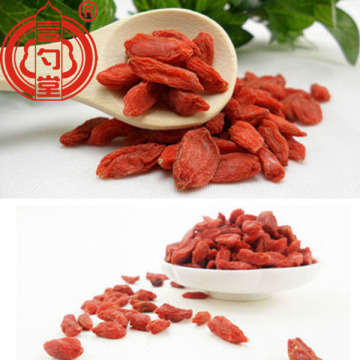 Superfruits Goji Berry Lycium Fruit