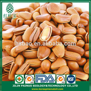 Wholesale Dietary Supplyment Siberian Open Pine Nuts in Shell