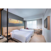 Customized Unique Furniture for Park Inn Hotel Premium Economy Guest Rooms