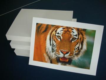 100% white wood offset printing paper