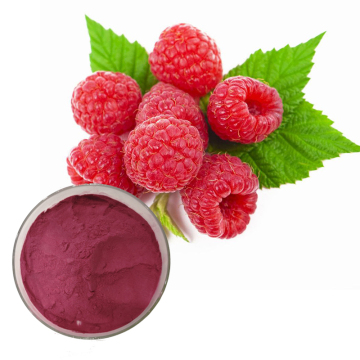 Raspberry Extract Fruit Powder