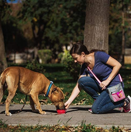 Pet Treats Shoulder Bags