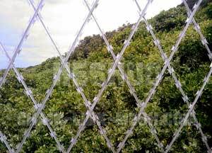 Welded razor wire fence