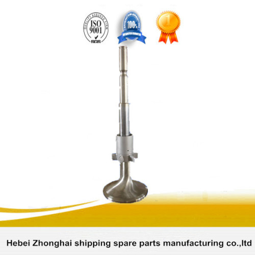 Train Diesel Engine Valves