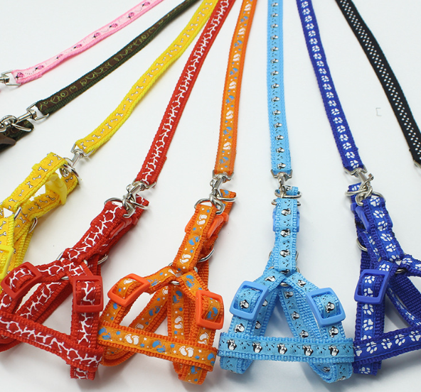 Print Cartoon Small Dog Harness