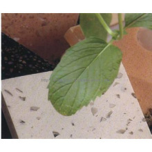 Quartz Surfaces, Red Quartz Stone