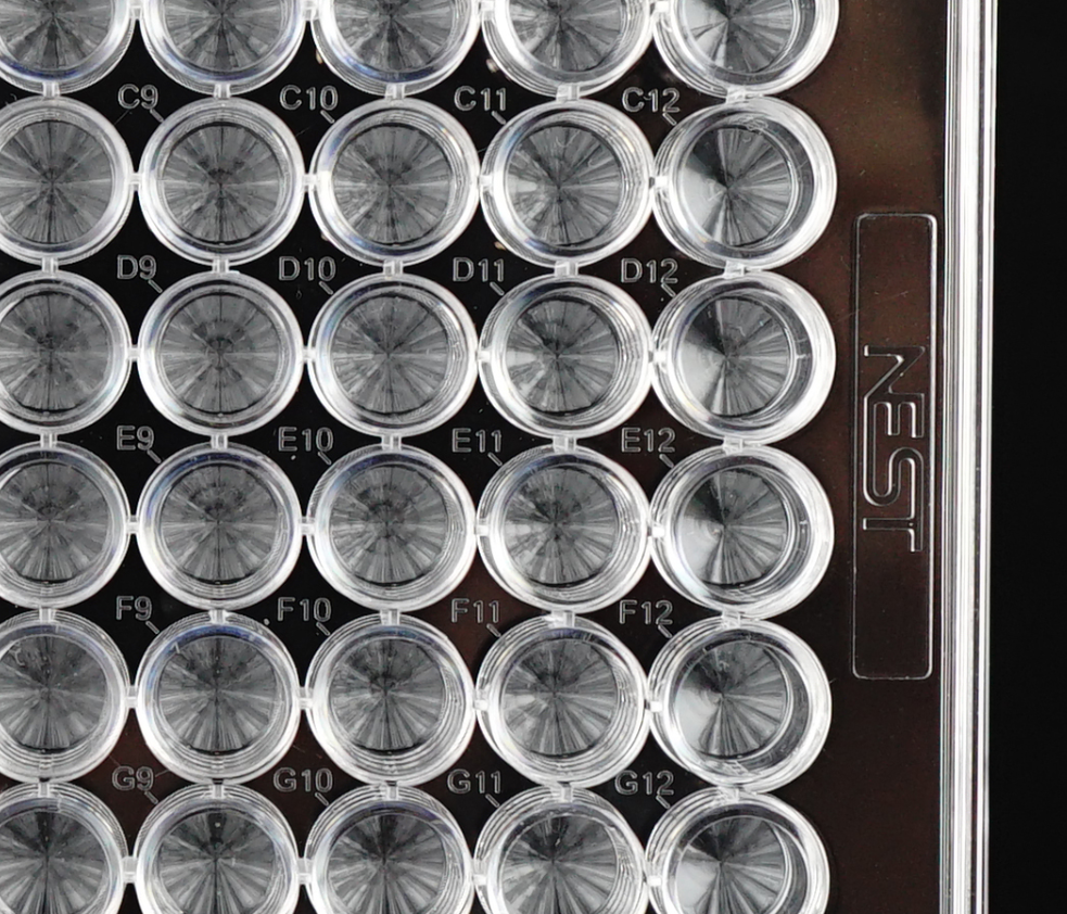 Non-treated 96 well V-bottom Cell Culture Plates