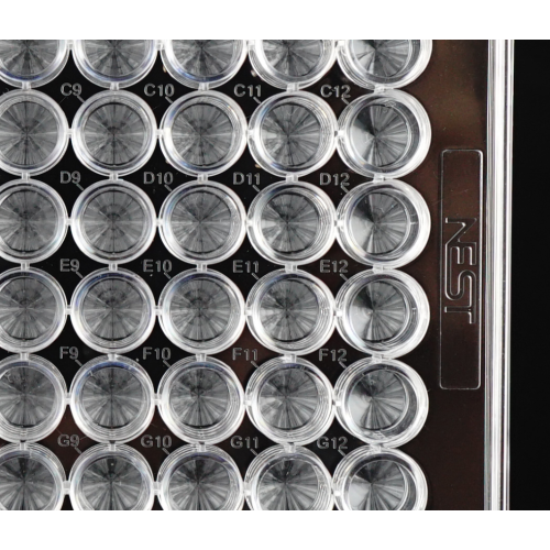 Non-treated 96 well V-bottom Cell Culture Plates