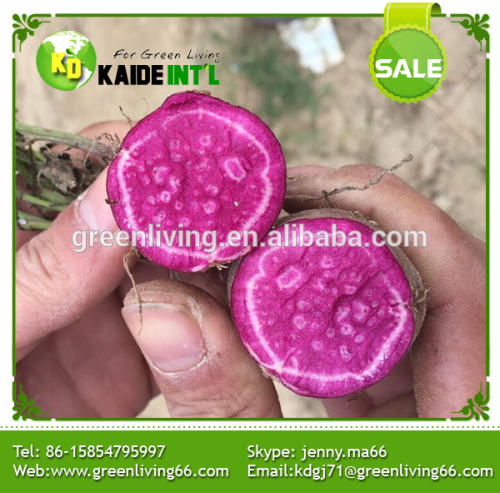 purple sweet potato flake