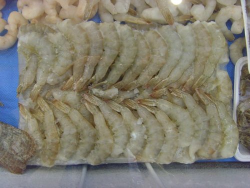 frozen white shrimp whole round