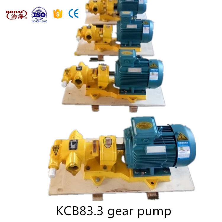 Stainless steel gear pump food safety pump pressure pump