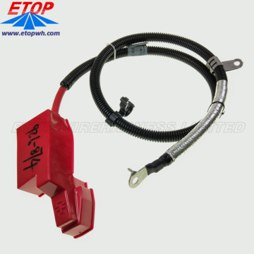 Custom Car Audio Harness and Car Battery Cable