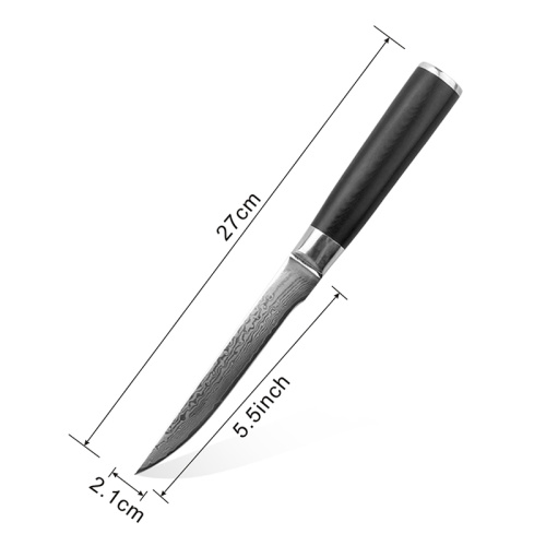 G10 Griff 67 Schicht Damaskus 5-Zoll-Messer