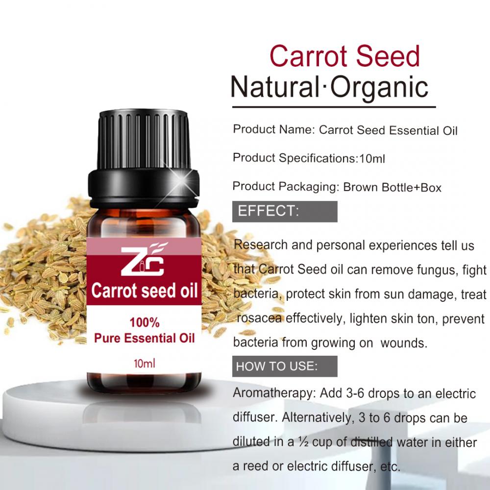 Pure Natural Carrot Seed Essential Oil for Massage