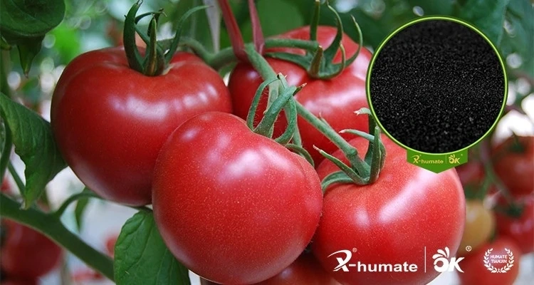 High Quality Biological Fertilizer Potassium Humate Powder Water Soluble Humic Acid