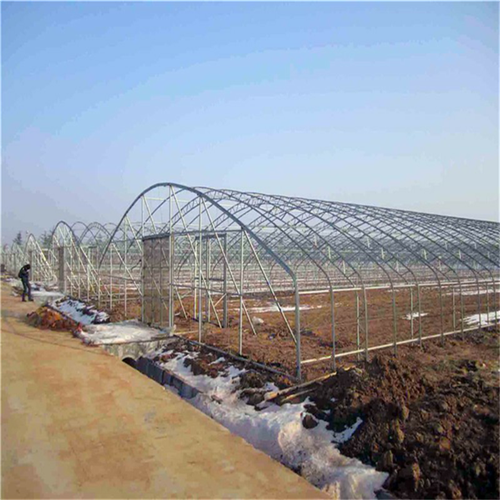 Economic PE Film Horticultural Greenhouse