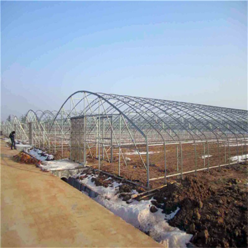 Economica Greenhouse