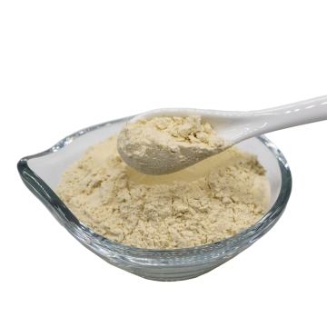 100:1 Aloe Vera Whole Leaf Freeze Dried Powder