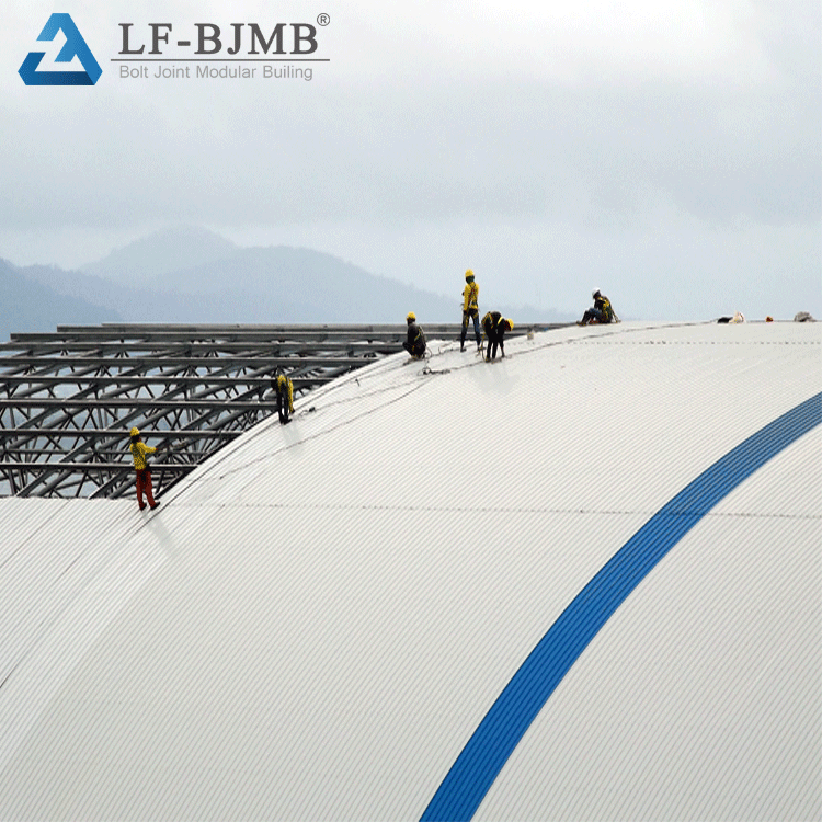 LF Steel Structure Space Frame Industrial Building Dry Coal Storage Shed Design