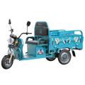 Tricycle électrique de petite boîte de cargaison 60V1500W