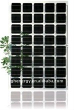 transparent PV module