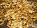 KUALITI BAIK GINGER FRESH