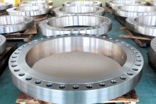 SPECIAL FORGED FOR FLANGE
