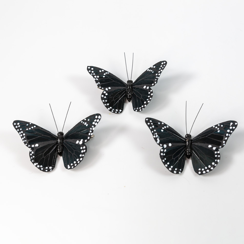 3d butterfly craft shop