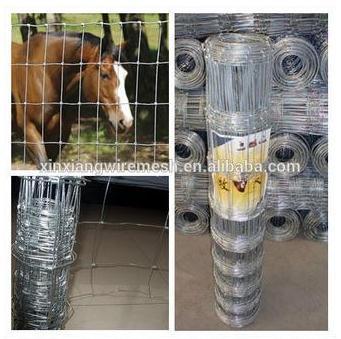 cattle fence / horse fence / sheep fence / cow fence