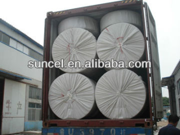 Facial Tissue Parent Roll