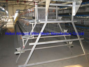 Pullet rearing baby chick cage