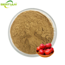 High-Quality Hawthorn Extract