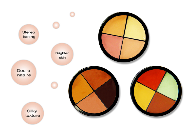 Waterproof private label makeup concealer palette