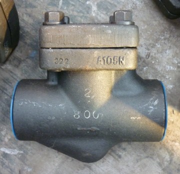 Forged steel check valve