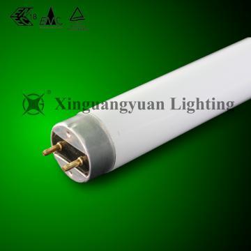 FL8  36W linear fluorescent tube