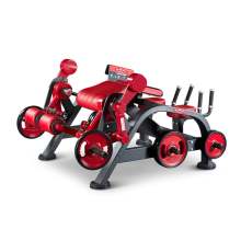 Upper Body | Alternate Curling Machine