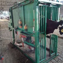 Farm Hoof Trimming Machine for Cows - Efficient Cow Care Equipment