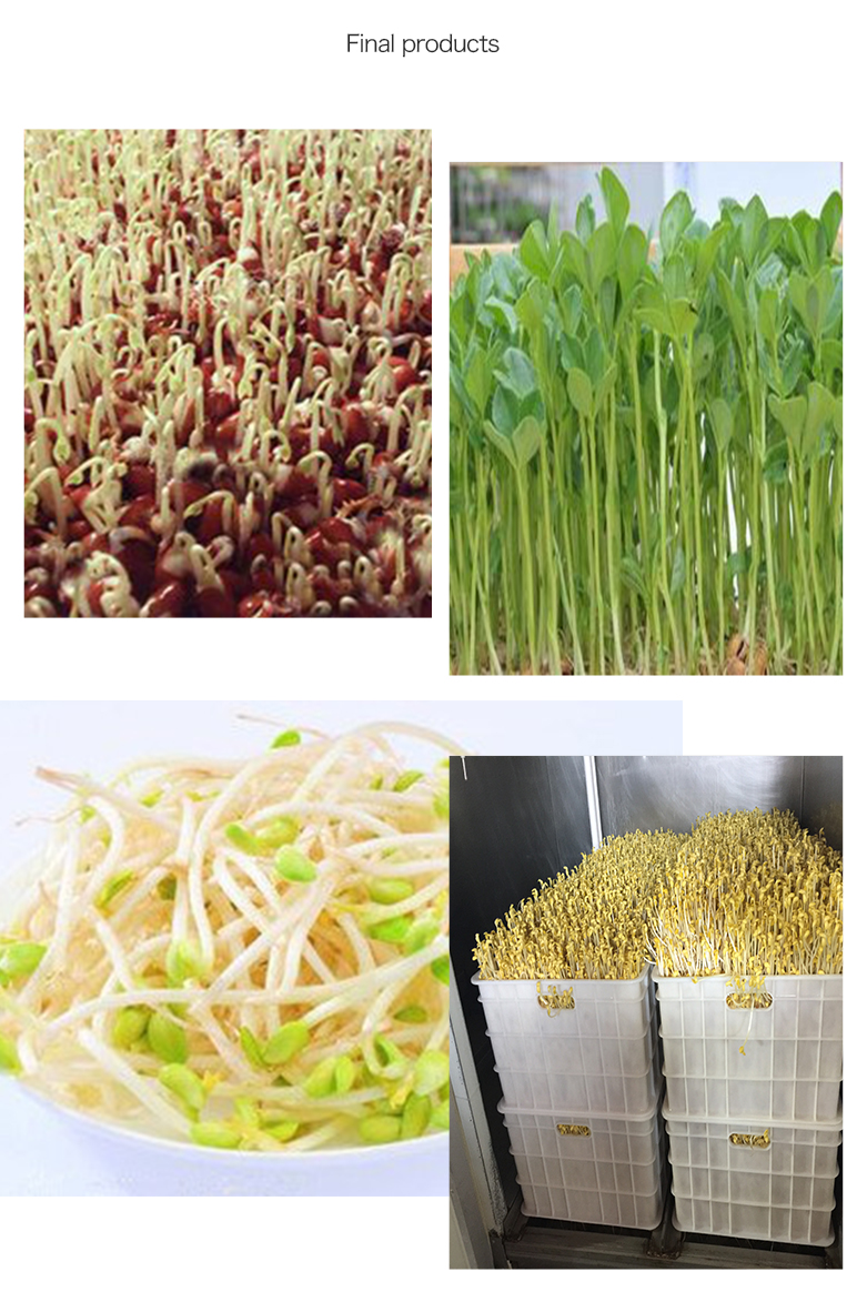 Multi-function hydroponic growing systems greenhouse