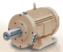 Overrunning Clutch (Sprag clutch) (ALG)