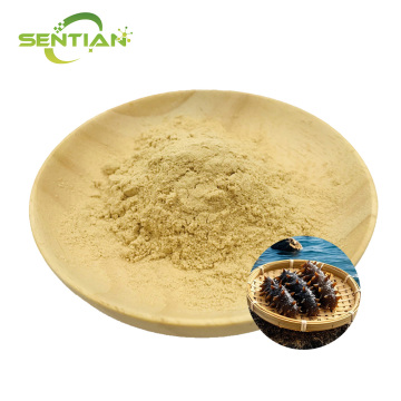 High-Quality Sea Cucumber Extract