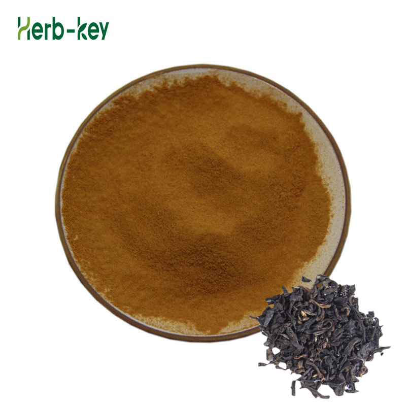 Supply Black Tea Extract 10% Theaflavin