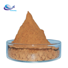 High Quality Fructo-oligosaccharide Fructo Oligosaccharide