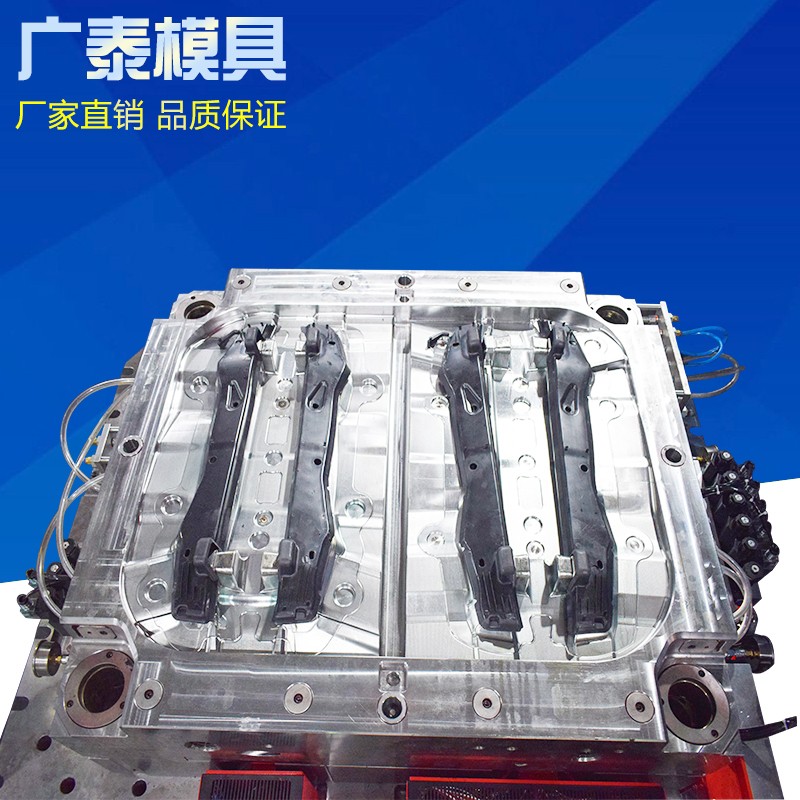 SCHIMMEL MOLD