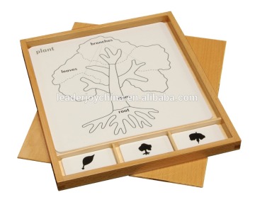 physics teaching aids Botany Puzzle Activity Set