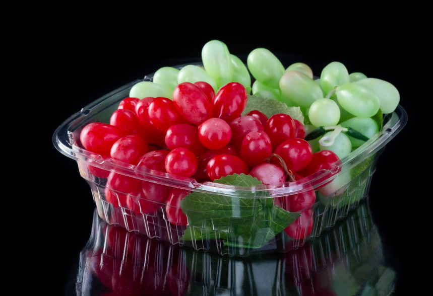 Blueberries Tub