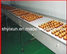 Professional Cake Processing Lines