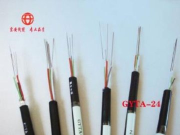 Optical Cable(GYTA-48D)